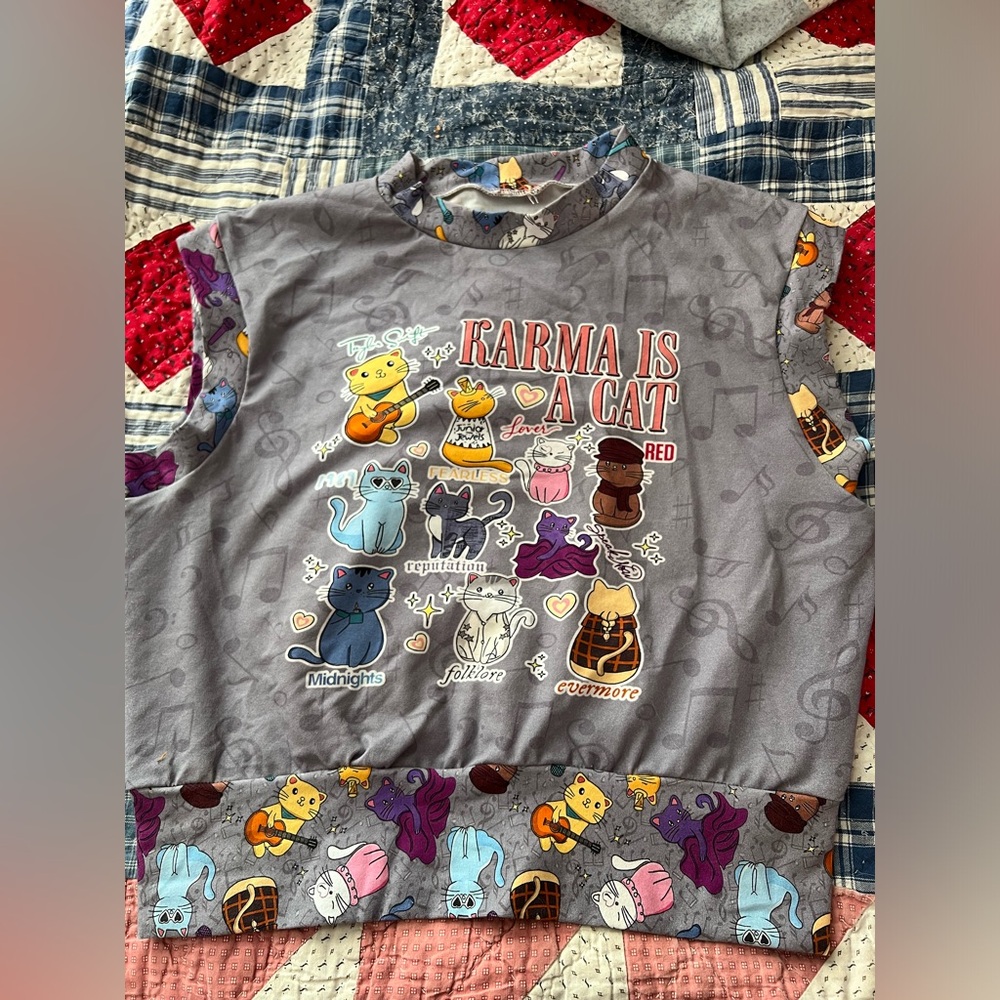 Handmade Taylor Swift Karma is a Cat Cropped shirt size small/medium Eras Tour